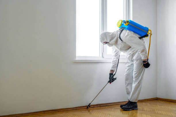Trusted Ponce Inlet, FL Pest Control Experts