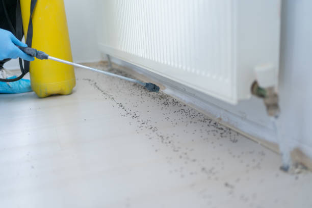 Best Commercial Pest Control Services  in Ponce Inlet, FL